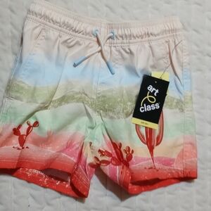 Art Class Swim Trunks